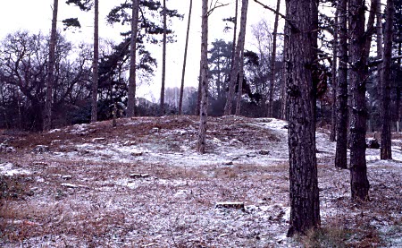 06Martlesham